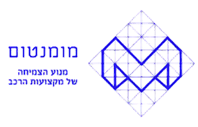 מומנטום